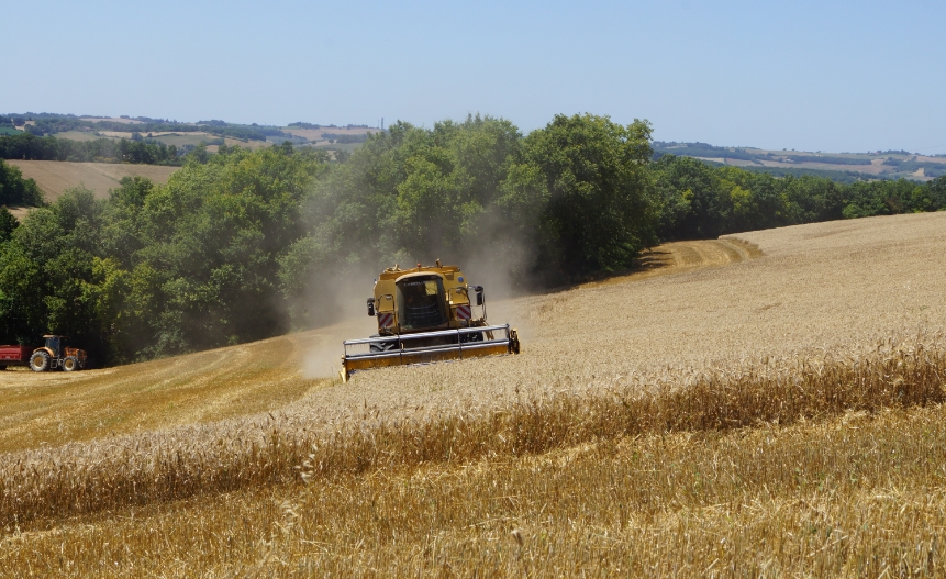 Moulin à farine agricole : guide pour bien le choisir